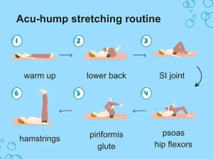 lower back pain piriformis syndrome glute hamstrings stretching routine by Acu-hump massage tool