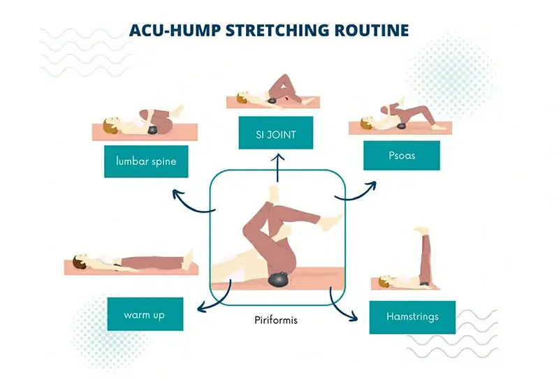 Acu-hump stretching routine lower back psoas piriformis SI joint hamstrings