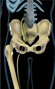 scaitic nerve