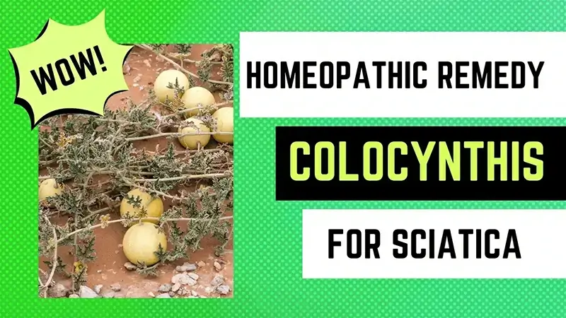 colocynthis homeopathic remedy for sciatica