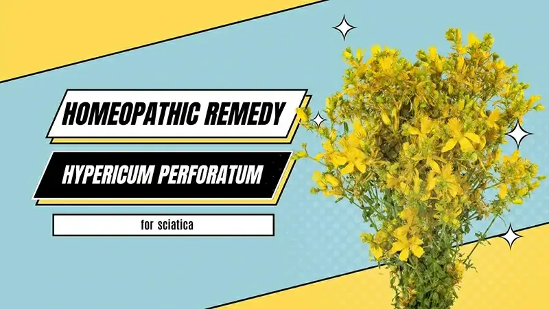 hypericum perforatum homeopathic remedy for sciatica