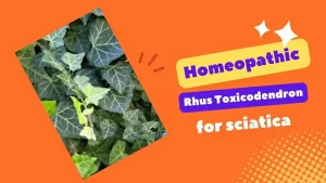 Rhus Toxicodendron homeopathic remedy for sciatica