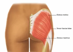 glute muscle pain