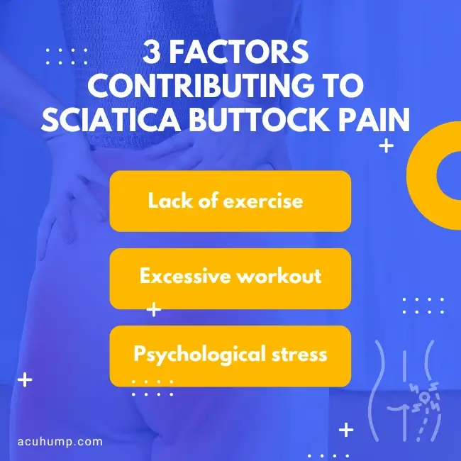 3 factors contributing to sciatica buttock pain